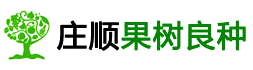 長(zhǎng)豐縣莊順果樹(shù)良種有限公司